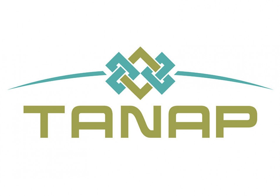 С сегодняшнего дня началась поставка первого коммерческого газа посредством TANAP в Турцию