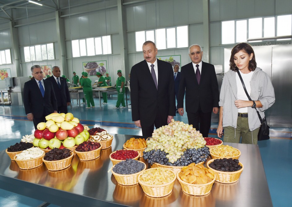 President Ilham Aliyev attended inauguration of agricultural plant of Gubaekoagrar LLC