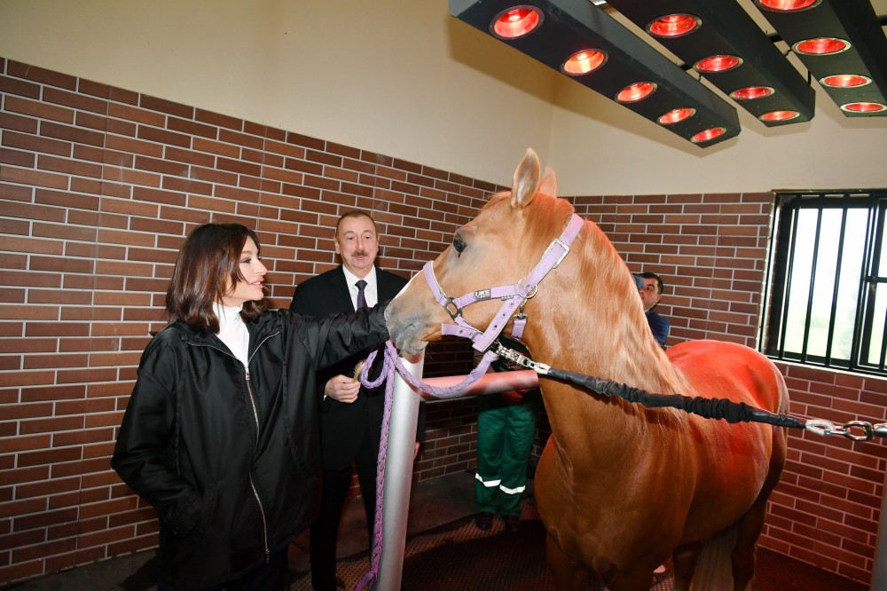 President Ilham Aliyev attended opening of Qarabag Equestrian Complex