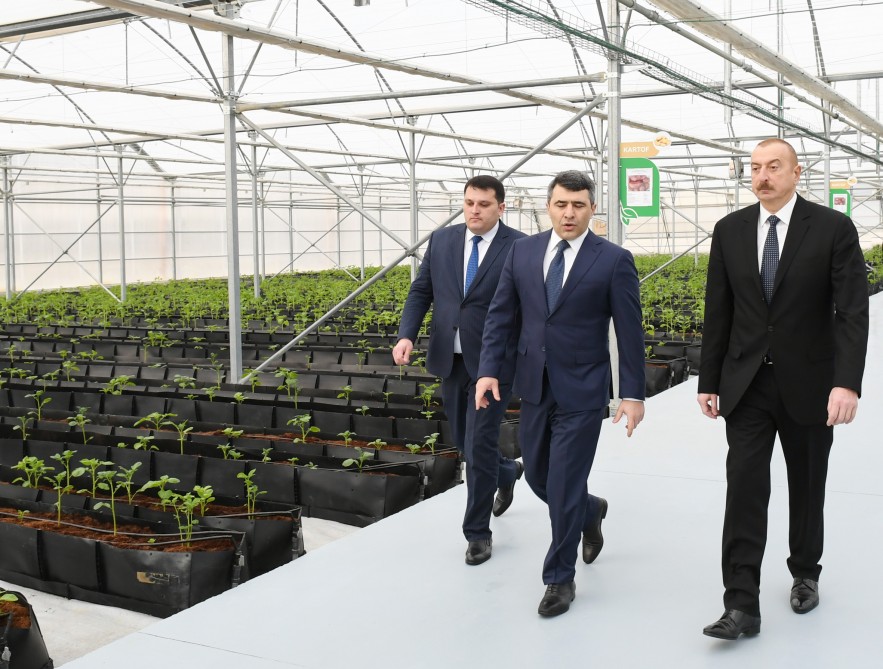 President Ilham Aliyev attended inauguration of Research Institute of Vegetable Growing